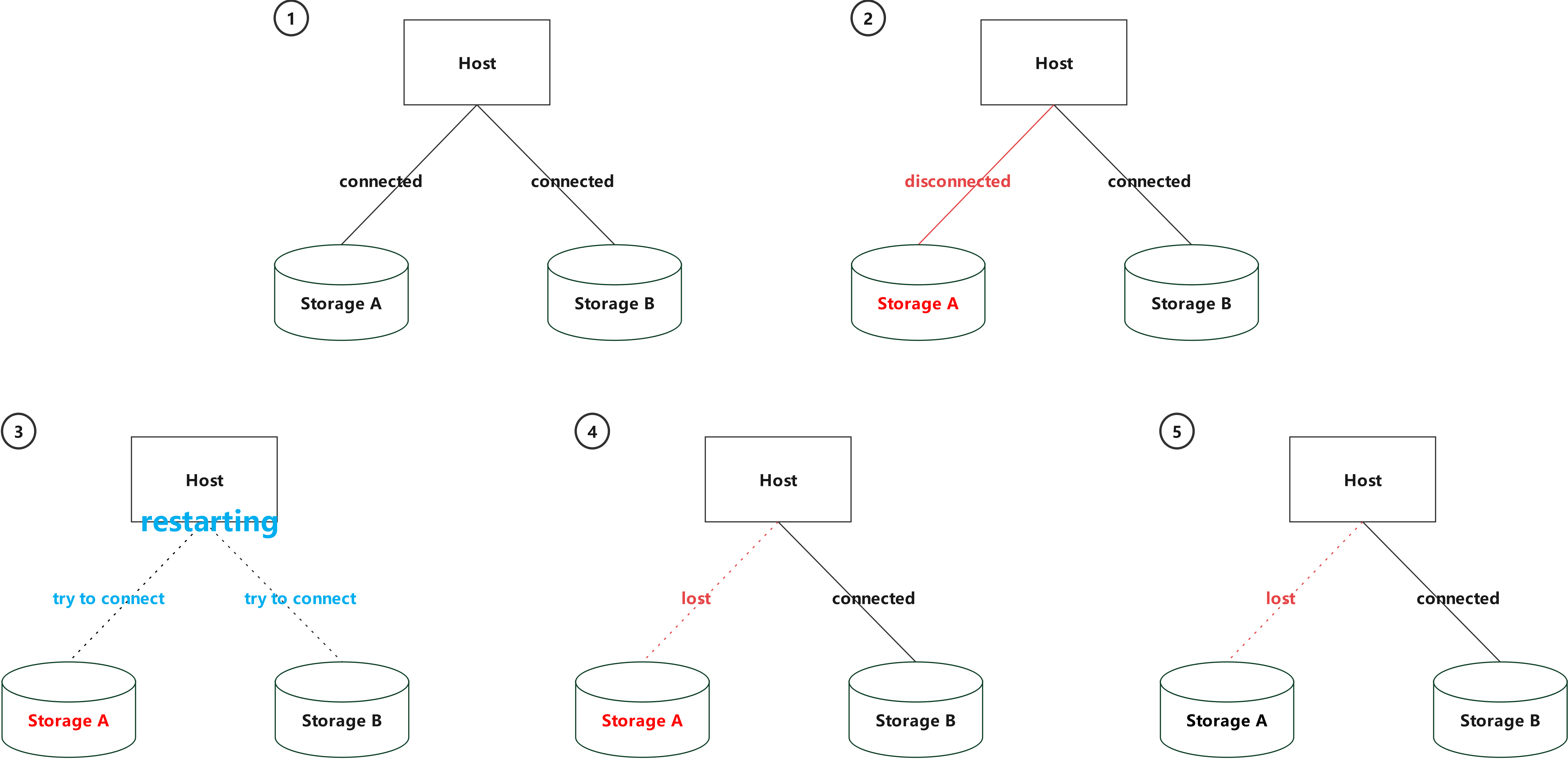 SAN双活子路径丢失故障示意图